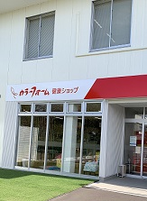 カラーフォーム.jpg